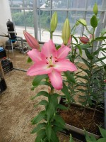 [5660 VZ W07 0670-01 No01.JPG]